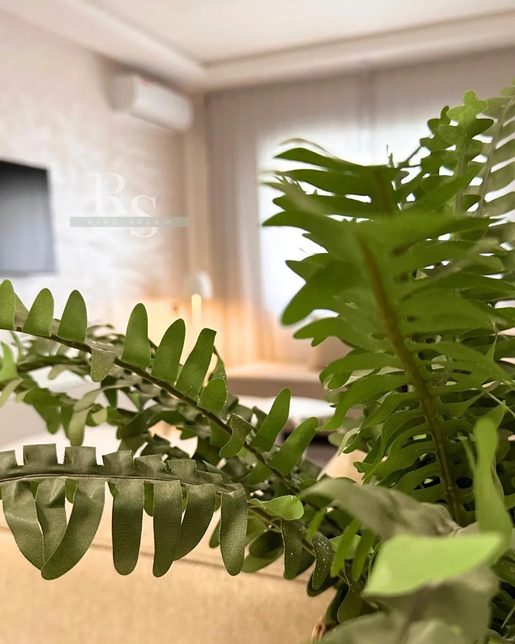 Dining area with table and seating